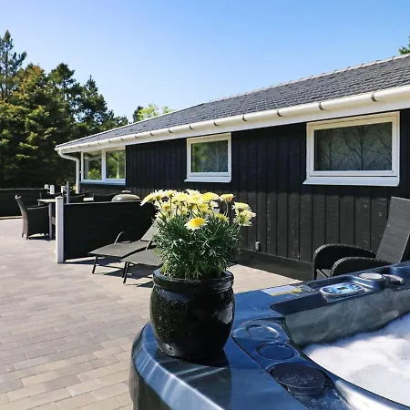 Holiday Home Blavand Holiday home *